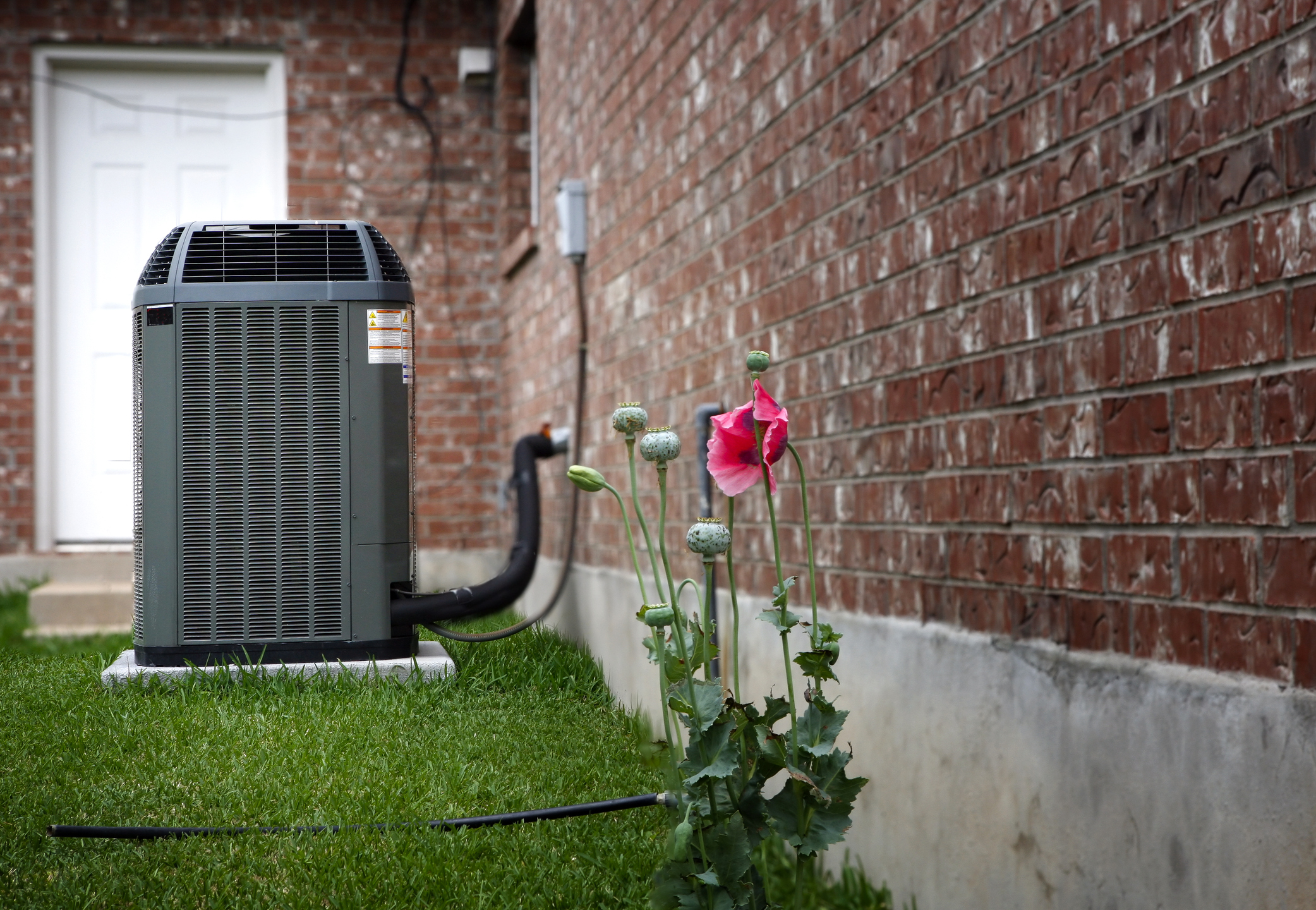 Modern HVAC unit next to a brick home with a small pink flower in the foreground